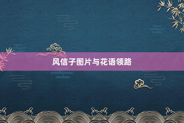 风信子图片与花语领路